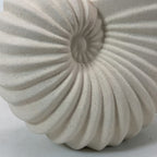 Nautilus Shell Ceramic Vase – Coastal Wabi-Sabi