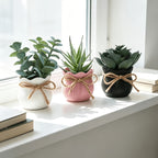 Set of 3 Mini Artificial Succulent Bonsai Plants