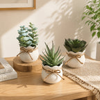 Set of 3 Mini Artificial Succulent Bonsai Plants