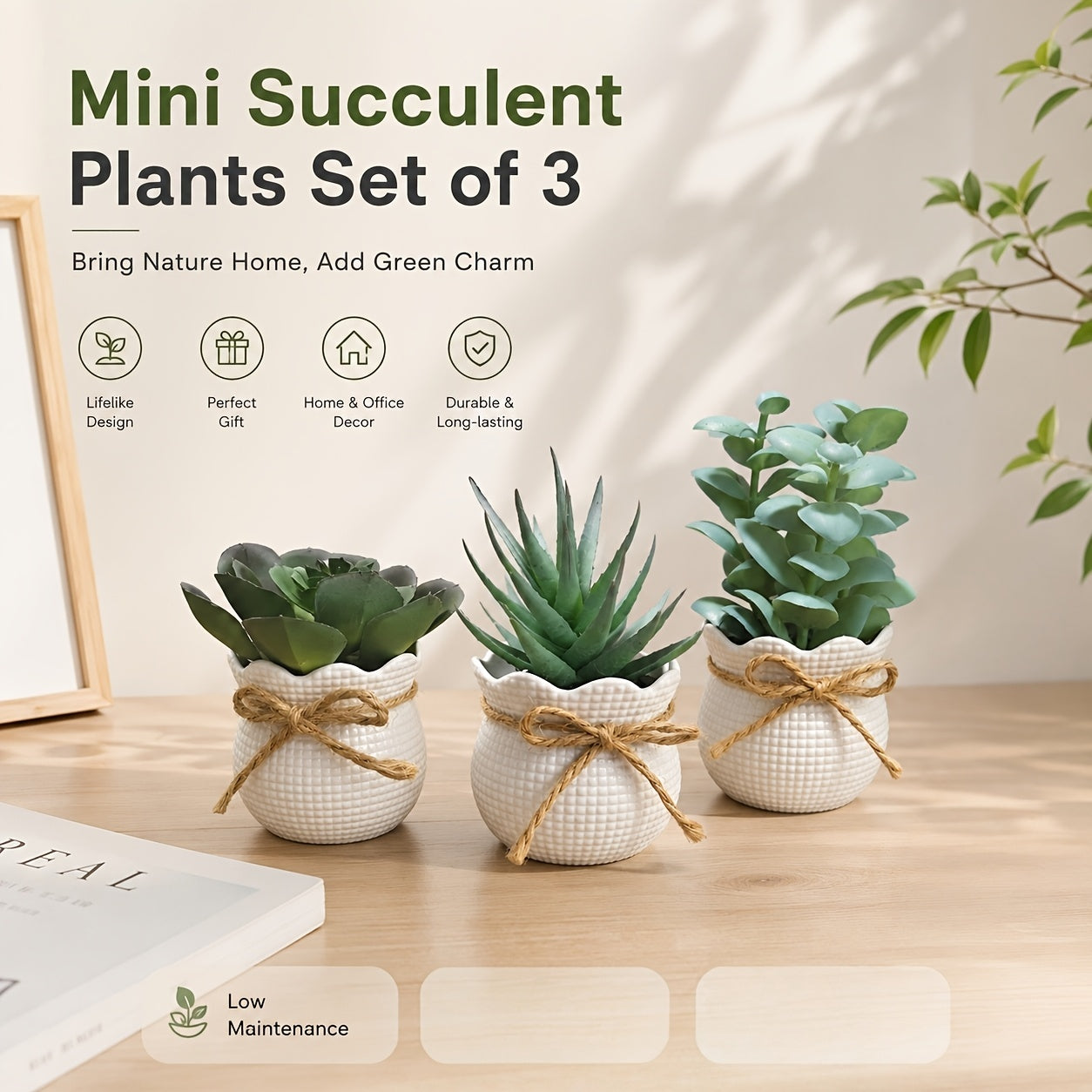 Set of 3 Mini Artificial Succulent Bonsai Plants