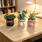 Set of 3 Mini Artificial Succulent Bonsai Plants