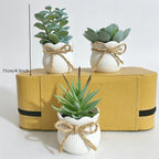 Set of 3 Mini Artificial Succulent Bonsai Plants