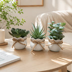 Set of 3 Mini Artificial Succulent Bonsai Plants
