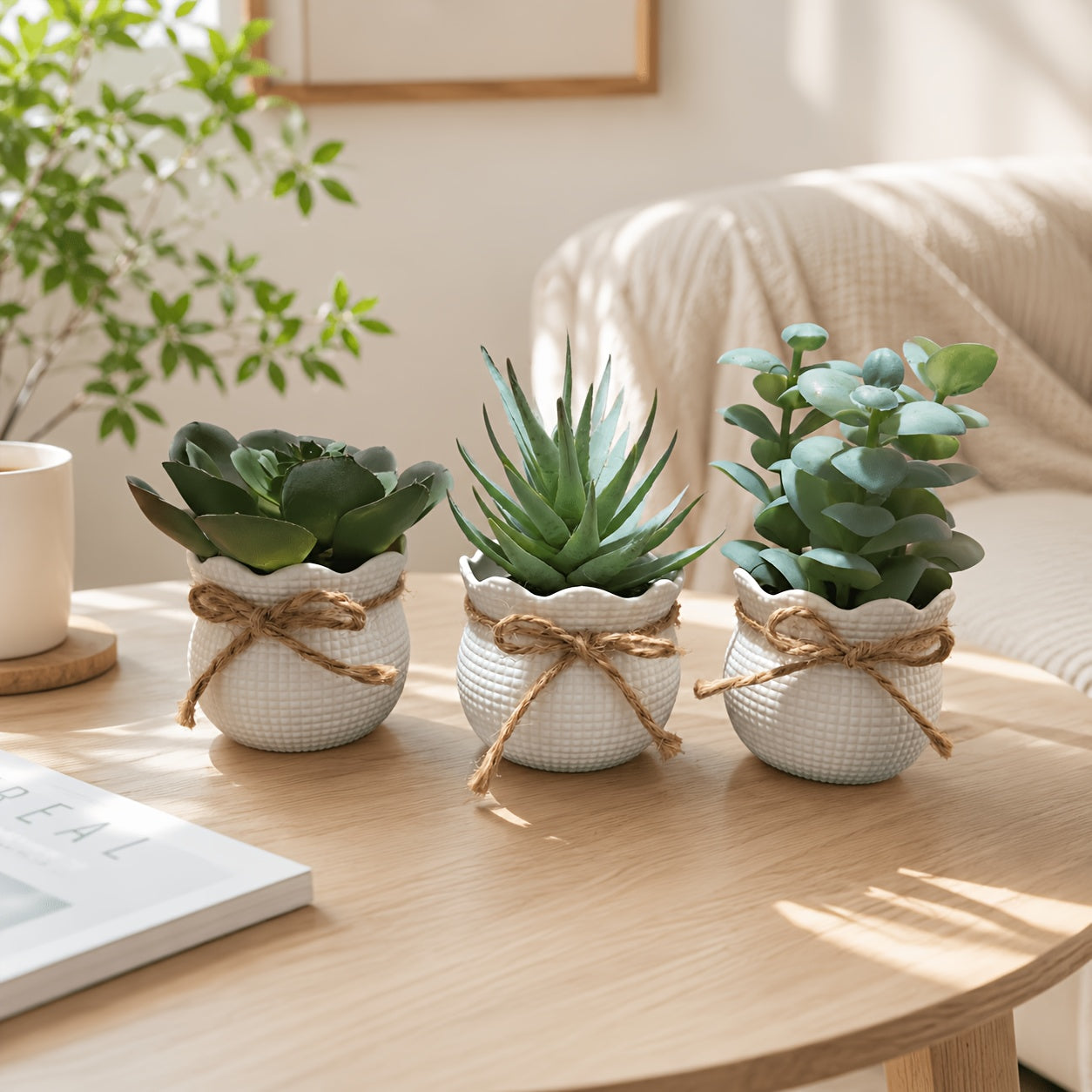 Set of 3 Mini Artificial Succulent Bonsai Plants