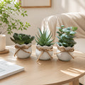 Set of 3 Mini Artificial Succulent Bonsai Plants