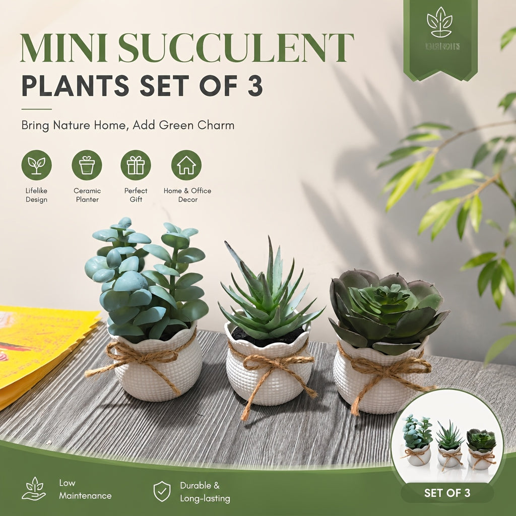 Set of 3 Mini Artificial Succulent Bonsai Plants