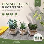 Set of 3 Mini Artificial Succulent Bonsai Plants